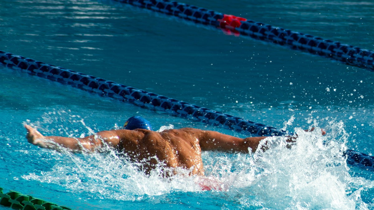 Swimmer training alone in a pool